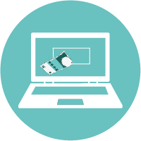 Online Payment