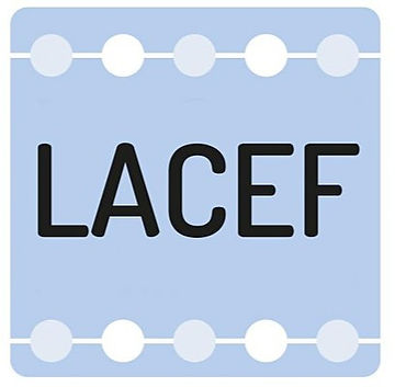 Local Authority Civil Enforcement Forum (LACEF) Conference 2026 Reflections